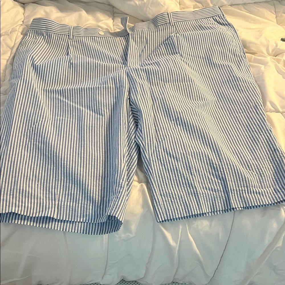 Classic Blue and White Striped Men's Shorts